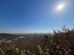 -上海佘山国家森林公园西佘山园