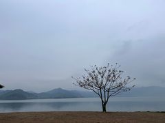 -东钱湖旅游度假区