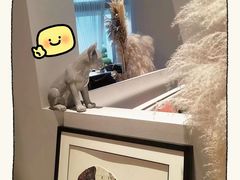 -IL Forno 意坊·意大利餐厅(温州万象城店)