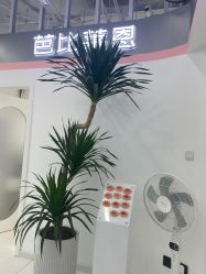 -babiline芭比莱恩半永久纹眉纹唇发际线