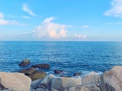 -广东惠东海龟国家级自然保护区