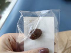 -南方医科大学深圳医院