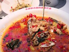 -坛宗剁椒鱼头(河西王府井店)