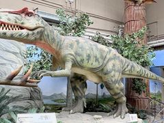 -国家自然博物馆