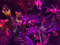 -沈阳海洋探索中心