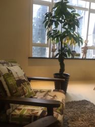 -净妍美肌专业净毛嫩肤连锁机构