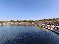 -新江湾城公园