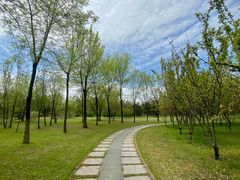 -鉴湖国家城市湿地公园