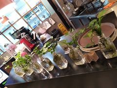 -Dough&Joe团憩(瑞虹天地月亮湾店)