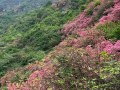 -木兰云雾山