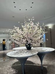 -广州美莱医疗美容医院