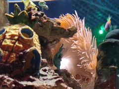 -太平洋海底世界