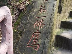 -大金鹰园