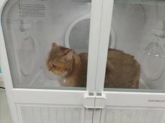 -天宠宠物医院24小时·急重症诊疗中心·全科·腔镜特色(和平分院)