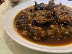 鲶鱼粉皮-眷江南之小蓝鲸(王府大街店)