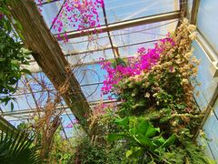 -呀路古热带植物园