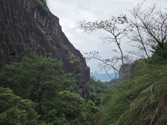 -武夷山风景名胜区-虎啸岩