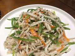 沙姜香菜杏鲍菇丝-十二舍·湯物素煮(江泰潤政店)
