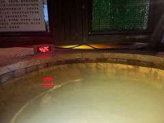 -齐河孔雀王温泉酒店·金孔雀自助百汇