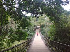 -南宁良凤江国家森林公园