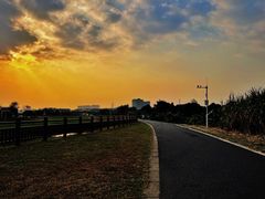 -光明小镇欢乐田园