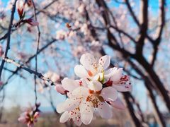 -湖滨客舍·湖北菜