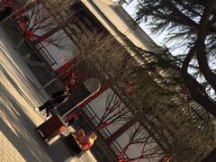 -西安青龙寺遗址景区