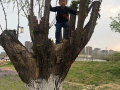 -汉长安城未央宫国家考古遗址公园