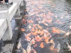 -万景饭店·鱼街农家菜