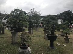 -苏州园林博物馆