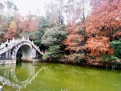 -深圳仙湖植物园