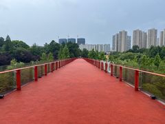 -青枫公园