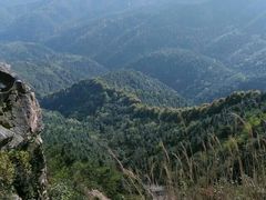 -井冈山革命烈士陵园