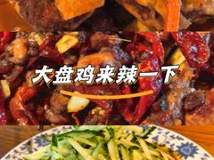 -柴窝堡22号辣子鸡·传承新疆菜