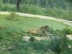 -西安秦岭野生动物园