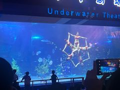 -泉城欧乐堡海洋极地世界