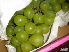 -马陆小张葡萄园农家乐