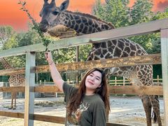 -水上乐园·欢乐世界