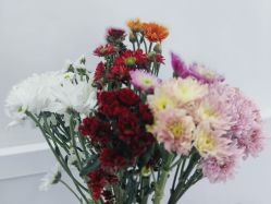 -靓芙泉专研痘痘肌