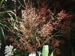 -春暖花开(西溪店)