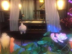 -韵秋荷(宝山龙湖天街店)