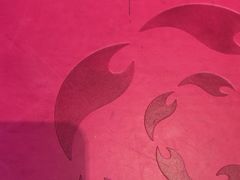 -杨氏青龙虾·羊蝎子(托乐嘉店)