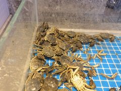 -一方渔歌蒸汽海鲜自助(文化路万达广场店)