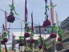 -The Grounds of Alexandria
