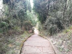 -七曲山风景区