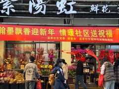 -溪岸路花鸟市场