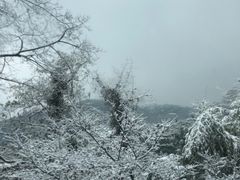 -莫干山风景区