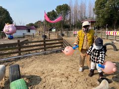 -田园东方蜜桃村的田野营地