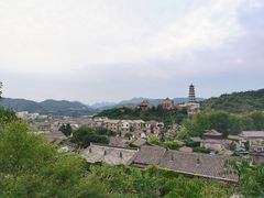 -古北烤梨