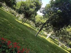 -弗蕾亚·和月月子调理院(东湖店)